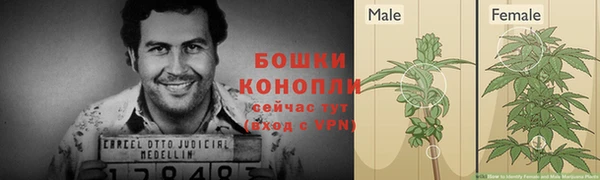 ПСИЛОЦИБИНОВЫЕ ГРИБЫ Майский