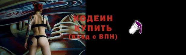 дурь Бородино