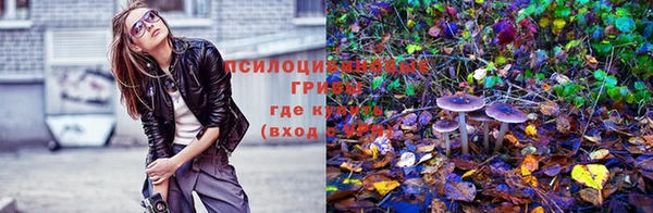 ПСИЛОЦИБИНОВЫЕ ГРИБЫ Майский
