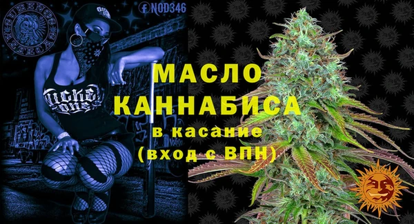 индика Вяземский